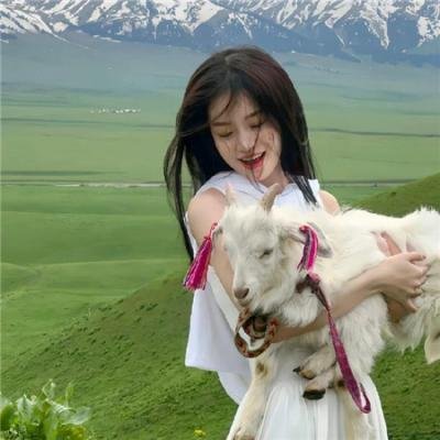 陀枪师姐4粤语
